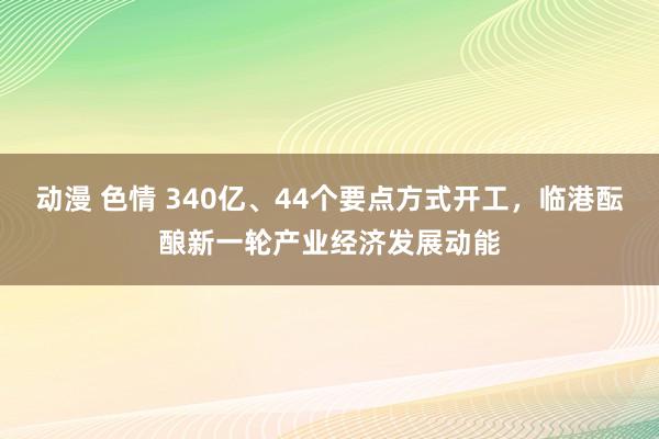 动漫 色情 340亿、44个要点方式开工，临港酝酿新一轮产业