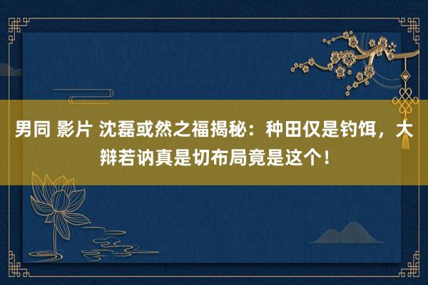 男同 影片 沈磊或然之福揭秘：种田仅是钓饵，大辩若讷真是切布局竟是这个！