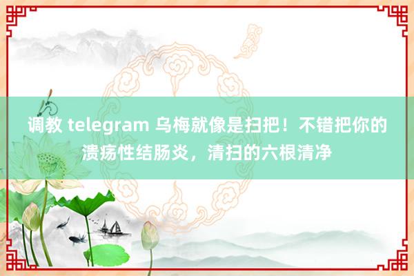 调教 telegram 乌梅就像是扫把！不错把你的溃疡性结肠炎，清扫的六根清净