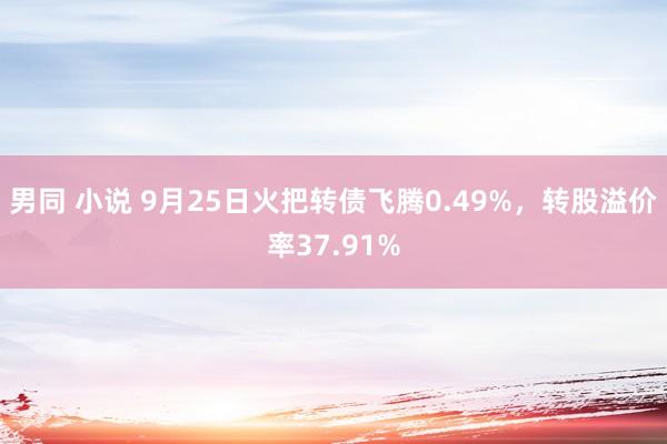 男同 小说 9月25日火把转债飞腾0.49%，转股溢价率37.91%