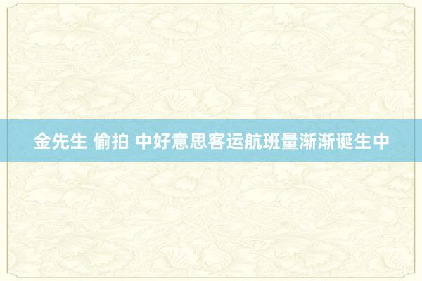 金先生 偷拍 中好意思客运航班量渐渐诞生中