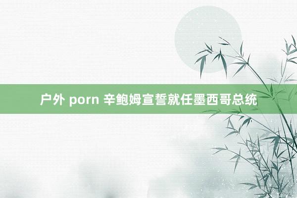 户外 porn 辛鲍姆宣誓就任墨西哥总统