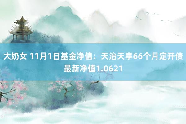 大奶女 11月1日基金净值：天治天享66个月定开债最新净值1.0621