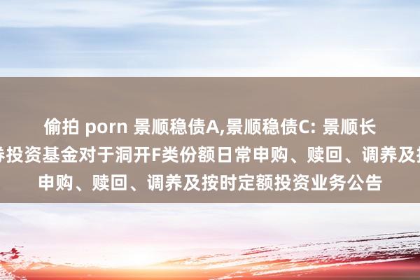 偷拍 porn 景顺稳债A，景顺稳债C: 景顺长城分解收益债券型证券投资基金对于洞开F类份额日常申购、赎回、调养及按时定额投资业务公告