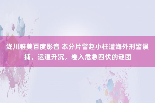 泷川雅美百度影音 本分片警赵小柱遭海外刑警误捕，运道升沉，卷入危急四伏的谜团