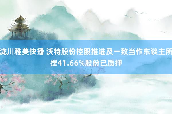 泷川雅美快播 沃特股份控股推进及一致当作东谈主所捏41.66