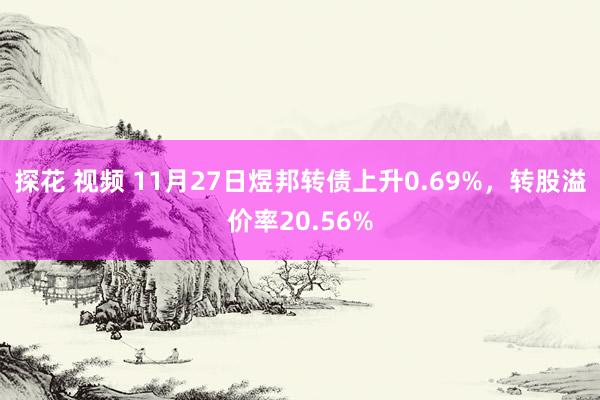 探花 视频 11月27日煜邦转债上升0.69%，转股溢价率20.56%