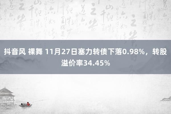 抖音风 裸舞 11月27日塞力转债下落0.98%，转股溢价率34.45%