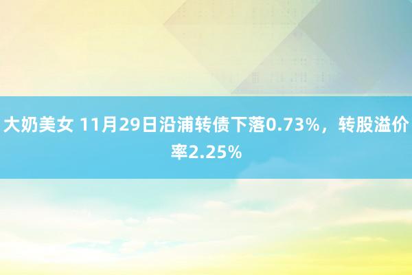 大奶美女 11月29日沿浦转债下落0.73%，转股溢价率2.25%