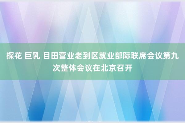 探花 巨乳 目田营业老到区就业部际联席会议第九次整体会议在北京召开