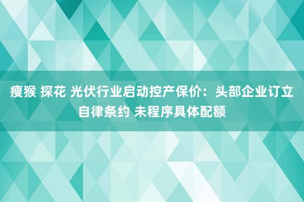 瘦猴 探花 光伏行业启动控产保价：头部企业订立自律条约 未程序具体配额