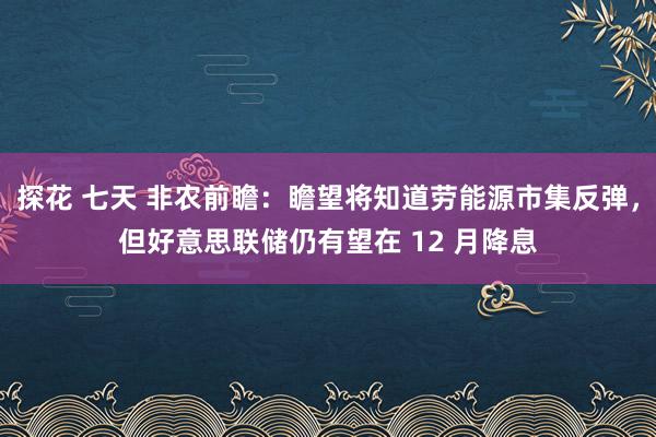 探花 七天 非农前瞻：瞻望将知道劳能源市集反弹，但好意思联储仍有望在 12 月降息