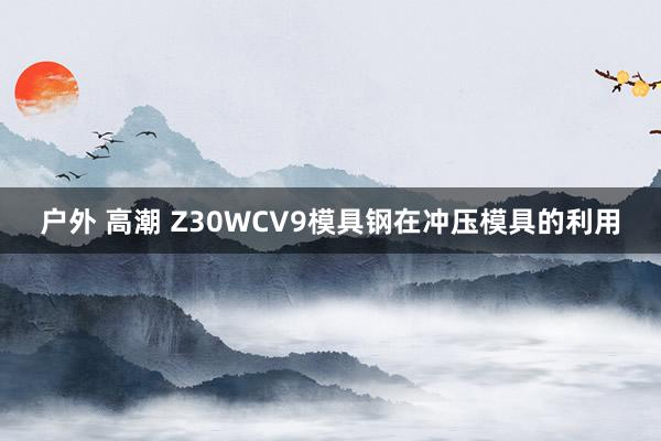 户外 高潮 Z30WCV9模具钢在冲压模具的利用