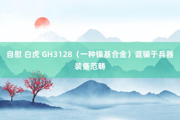 自慰 白虎 GH3128（一种镍基合金）诓骗于兵器装备范畴