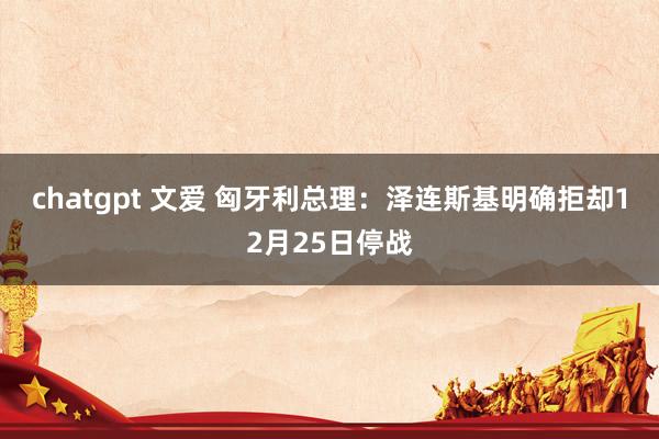 chatgpt 文爱 匈牙利总理：泽连斯基明确拒却12月25日停战