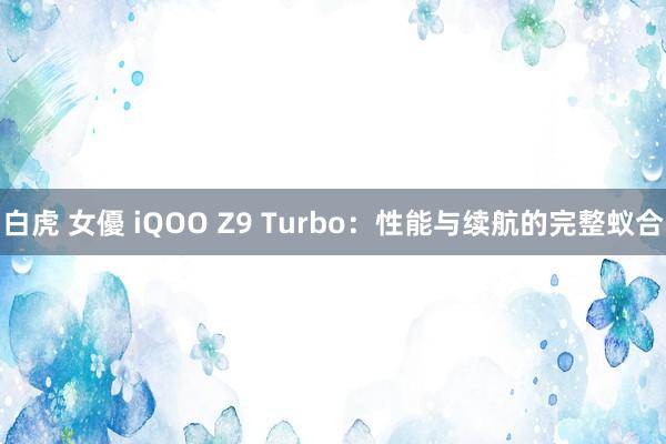 白虎 女優 iQOO Z9 Turbo：性能与续航的完整蚁合