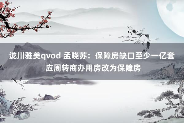 泷川雅美qvod 孟晓苏：保障房缺口至少一亿套 应周转商办用房改为保障房