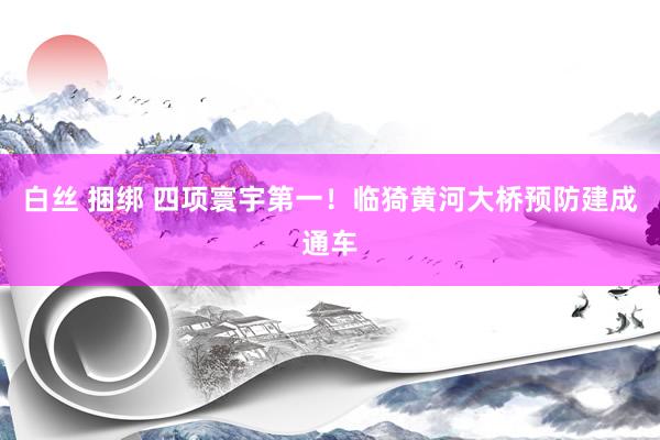 白丝 捆绑 四项寰宇第一！临猗黄河大桥预防建成通车