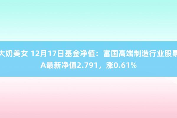 大奶美女 12月17日基金净值：富国高端制造行业股票A最新净值2.791，涨0.61%