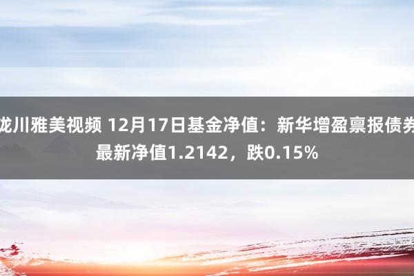 泷川雅美视频 12月17日基金净值：新华增盈禀报债券最新净值1.2142，跌0.15%