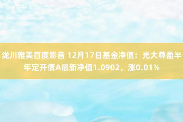 泷川雅美百度影音 12月17日基金净值：光大尊盈半年定开债A最新净值1.0902，涨0.01%