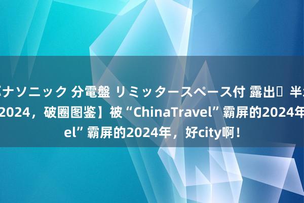 パナソニック 分電盤 リミッタースペース付 露出・半埋込両用形 【2024，破圈图鉴】被“ChinaTravel”霸屏的2024年，好city啊！