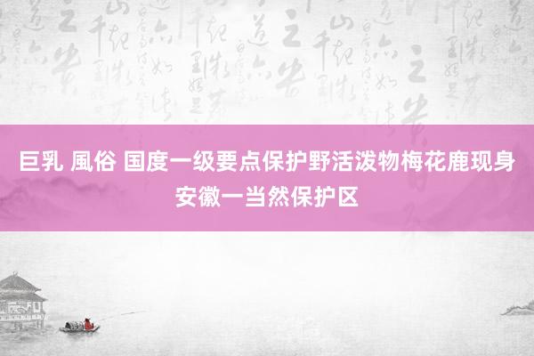 巨乳 風俗 国度一级要点保护野活泼物梅花鹿现身安徽一当然保护区