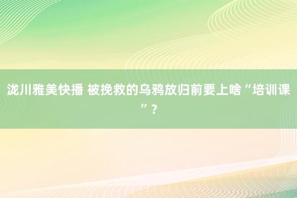 泷川雅美快播 被挽救的乌鸦放归前要上啥“培训课”？