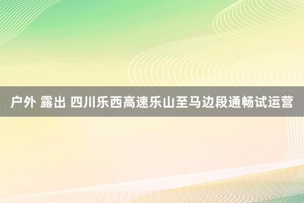 户外 露出 四川乐西高速乐山至马边段通畅试运营