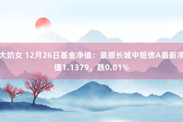 大奶女 12月26日基金净值：景顺长城中短债A最新净值1.1