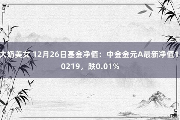 大奶美女 12月26日基金净值：中金金元A最新净值1.021