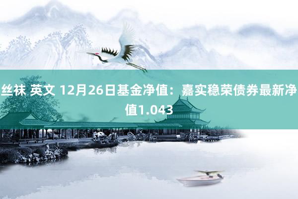 丝袜 英文 12月26日基金净值：嘉实稳荣债券最新净值1.0