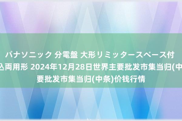 パナソニック 分電盤 大形リミッタースペース付 露出・半埋込