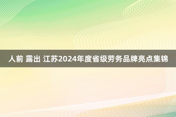 人前 露出 江苏2024年度省级劳务品牌亮点集锦