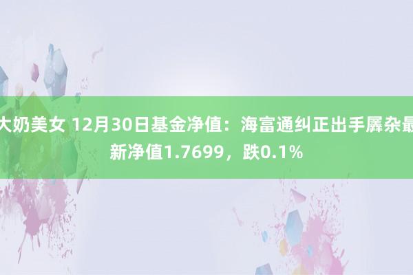 大奶美女 12月30日基金净值：海富通纠正出手羼杂最新净值1