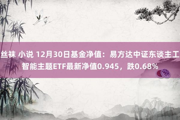 丝袜 小说 12月30日基金净值：易方达中证东谈主工智能主题ETF最新净值0.945，跌0.68%