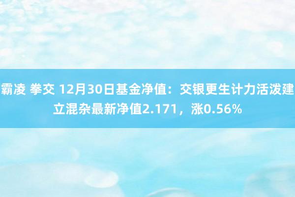 霸凌 拳交 12月30日基金净值：交银更生计力活泼建立混杂最