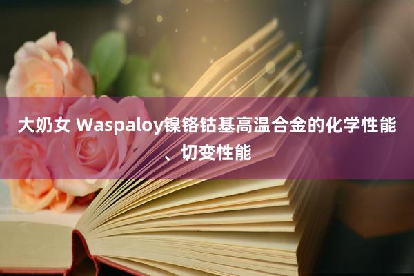 大奶女 Waspaloy镍铬钴基高温合金的化学性能、切变性能