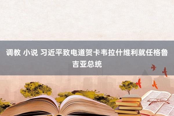 调教 小说 习近平致电道贺卡韦拉什维利就任格鲁吉亚总统