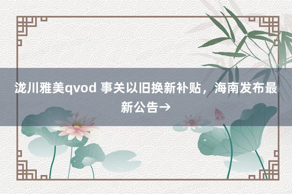 泷川雅美qvod 事关以旧换新补贴，海南发布最新公告→