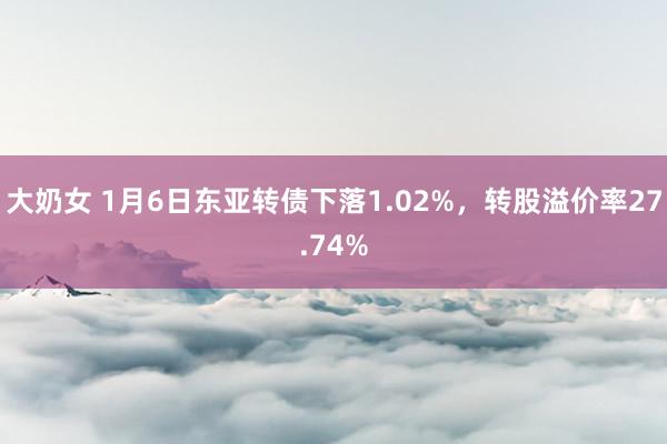 大奶女 1月6日东亚转债下落1.02%，转股溢价率27.74