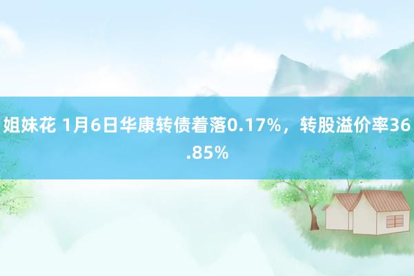 姐妹花 1月6日华康转债着落0.17%，转股溢价率36.85