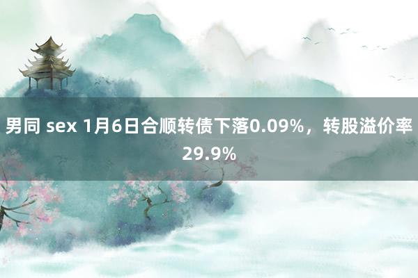 男同 sex 1月6日合顺转债下落0.09%，转股溢价率29