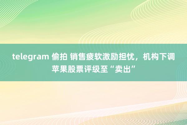 telegram 偷拍 销售疲软激励担忧，机构下调苹果股票评