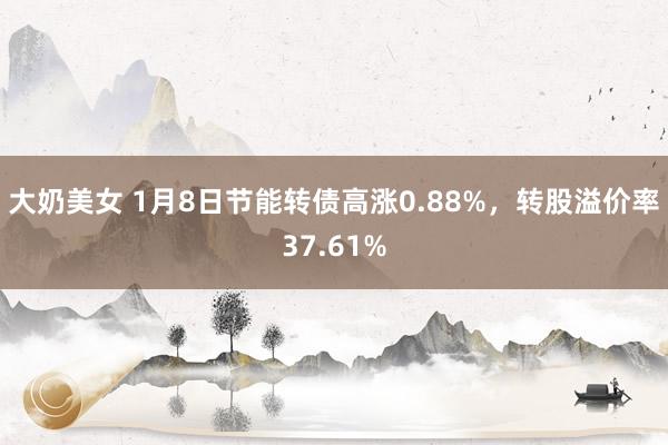 大奶美女 1月8日节能转债高涨0.88%，转股溢价率37.6