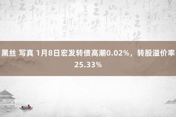 黑丝 写真 1月8日宏发转债高潮0.02%，转股溢价率25.