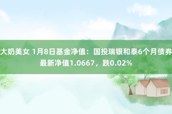 大奶美女 1月8日基金净值：国投瑞银和泰6个月债券最新净值1