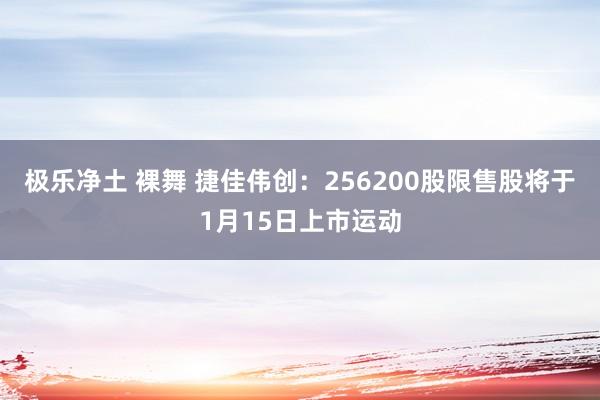 极乐净土 裸舞 捷佳伟创：256200股限售股将于1月15日