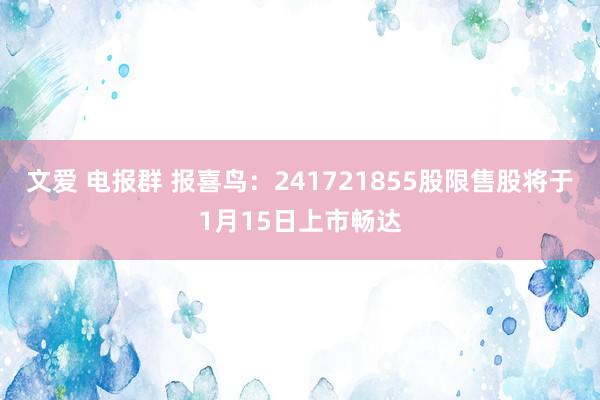 文爱 电报群 报喜鸟：241721855股限售股将于1月15