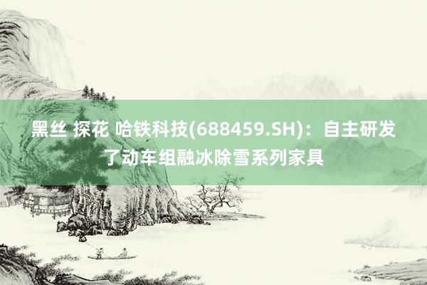 黑丝 探花 哈铁科技(688459.SH)：自主研发了动车组